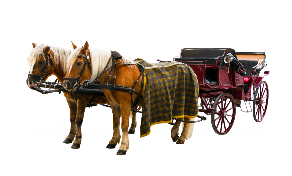 carriage_PNG31.png