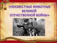 Животные на войне: литературное расследование по книге Виктора Кокосова