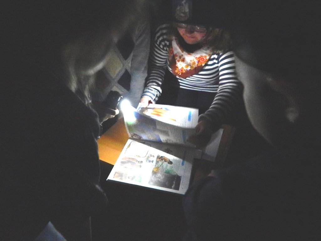 DSCN3180.JPG