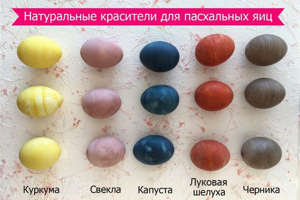 Pasha_yaiza.jpg Pasha_yaiza.jpg