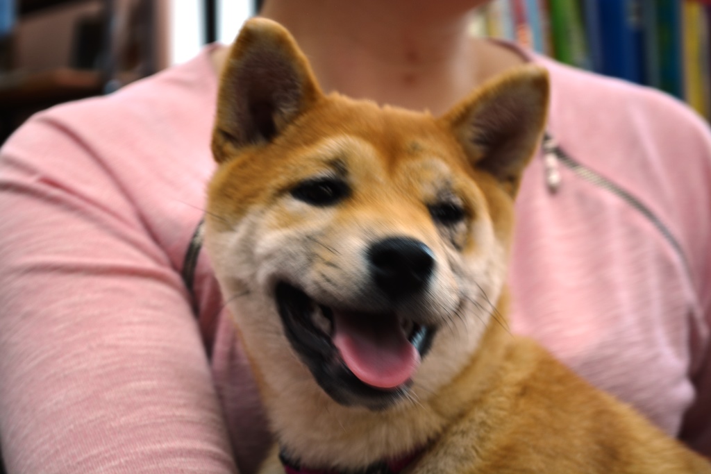 DSC_0649.JPG