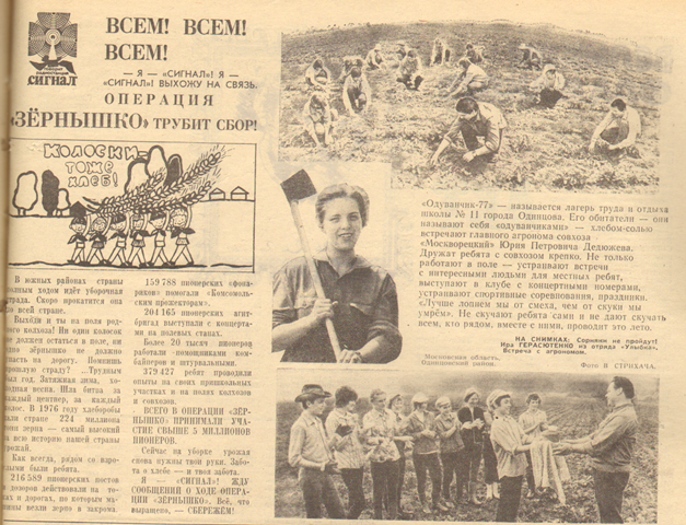 5.bmp