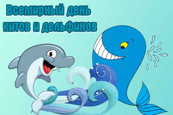Kity-delfiny.jpg