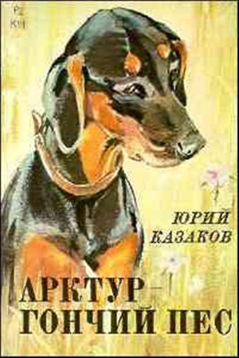 Kazakov2.jpeg
