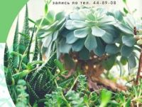 Игротека «Зеленые сказки»