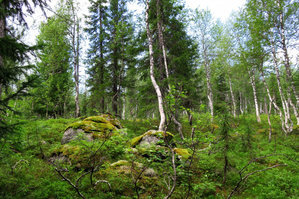 woU0q6_s-78.jpg