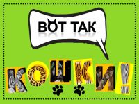 Викторина «Вот так кошки!»
