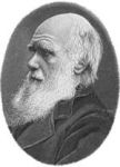 211 лет со дня рождения выдающегося учёного Чарльза Дарвина