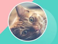 Приём работ на фотоконкурс продлится до 20 апреля