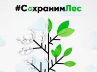 В Сыктывкаре юные читатели за день собрали почти полтора центнера макулатуры