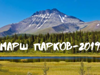 Читатели Маршаковки завершили «маршировать по паркам»