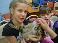 В Маршаковке устроят «кошкин день»