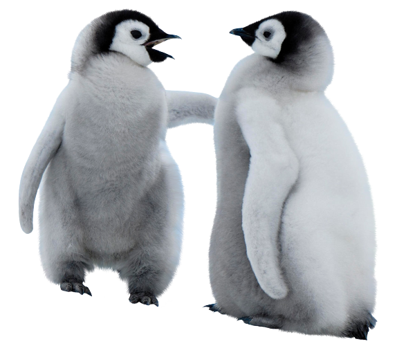 artage-io-thumb-f162752a5f1adfd8b0912b5b5ef00b65.png