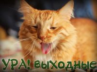 Маршаковка приглашает