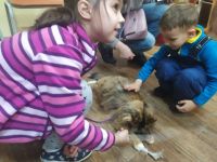 Благодаря Маршаковке бездомные животные находят дом