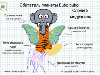 Первое задание суперконтинента Пангея