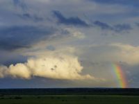 Сегодня День наблюдения за облаками