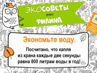 Экосовет от Филина: экономьте воду