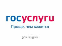 Госуслуги без очереди
