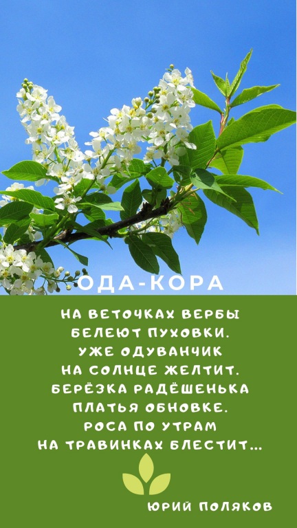 Sinyaya_s_Belym_Sneghinka_i_Fotografiya_Zitata_o_Zime_Istoriya_(10).jpg
