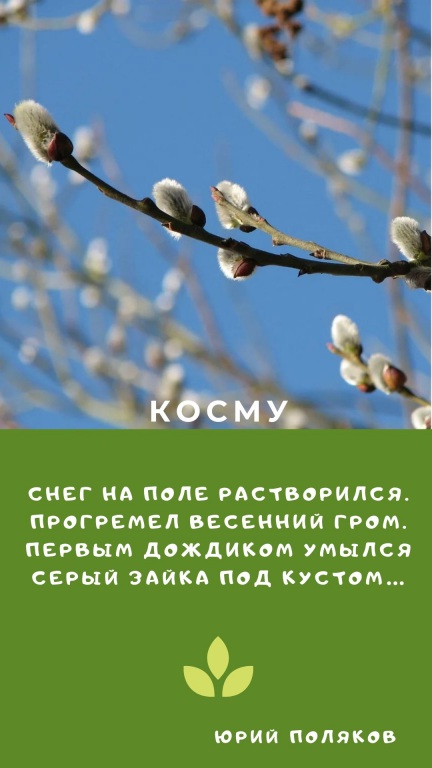Sinyaya_s_Belym_Sneghinka_i_Fotografiya_Zitata_o_Zime_Istoriya_(11).jpg