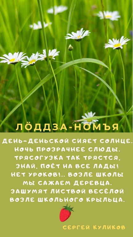 Sinyaya_s_Belym_Sneghinka_i_Fotografiya_Zitata_o_Zime_Istoriya_(13).jpg