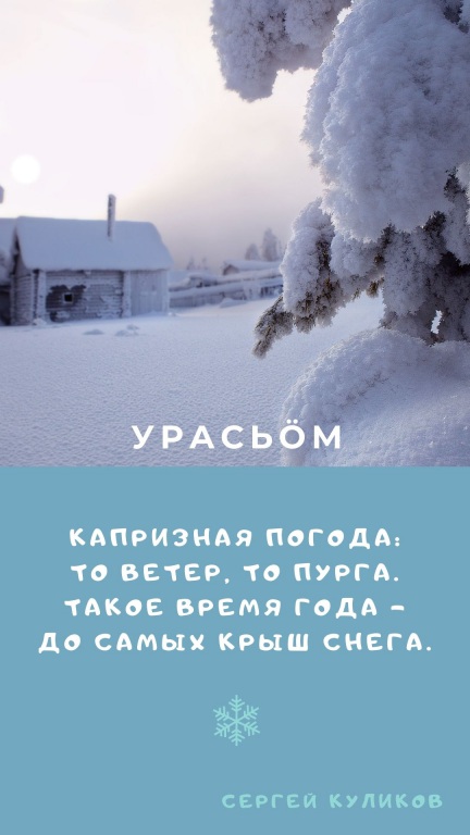 Sinyaya_s_Belym_Sneghinka_i_Fotografiya_Zitata_o_Zime_Istoriya_(3).jpg