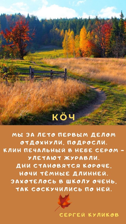 Sinyaya_s_Belym_Sneghinka_i_Fotografiya_Zitata_o_Zime_Istoriya_(4).jpg