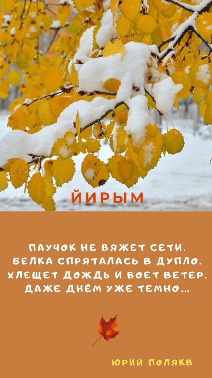 Sinyaya_s_Belym_Sneghinka_i_Fotografiya_Zitata_o_Zime_Istoriya_(5).jpg