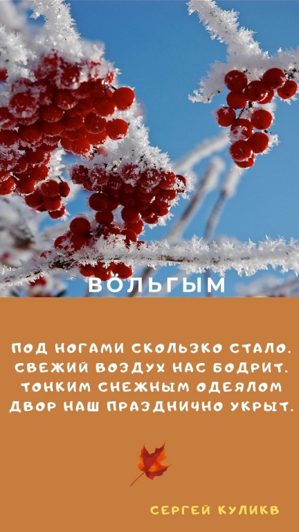 Sinyaya_s_Belym_Sneghinka_i_Fotografiya_Zitata_o_Zime_Istoriya_(6).jpg