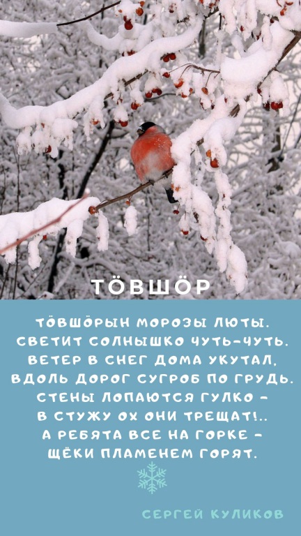 Sinyaya_s_Belym_Sneghinka_i_Fotografiya_Zitata_o_Zime_Istoriya_(7)_1.jpg