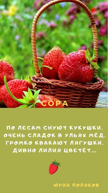 Sinyaya_s_Belym_Sneghinka_i_Fotografiya_Zitata_o_Zime_Istoriya_(8)_1.jpg