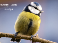 Маршаковка и Филин чествуют удивительных птиц
