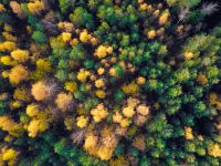 Маршаковка отмечает день основания Национального Парка «Койгородский»