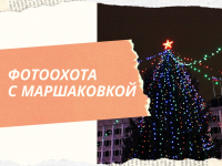 Новогодняя фотоохота с Маршаковкой