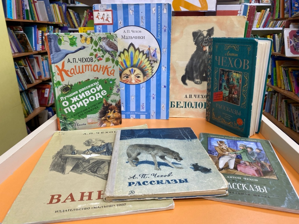 Saltykov-Schedrin.jpg Saltykov-Schedrin.jpg