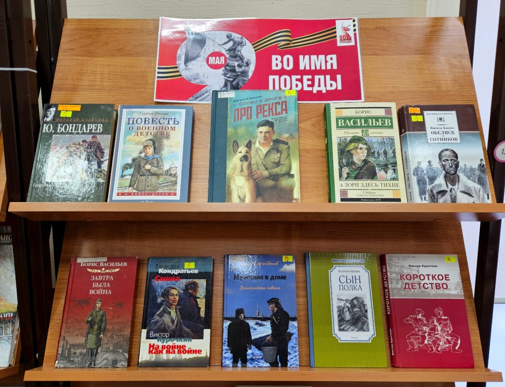 vystavka_1.jpg