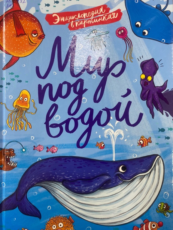 Mir_pod....jpg