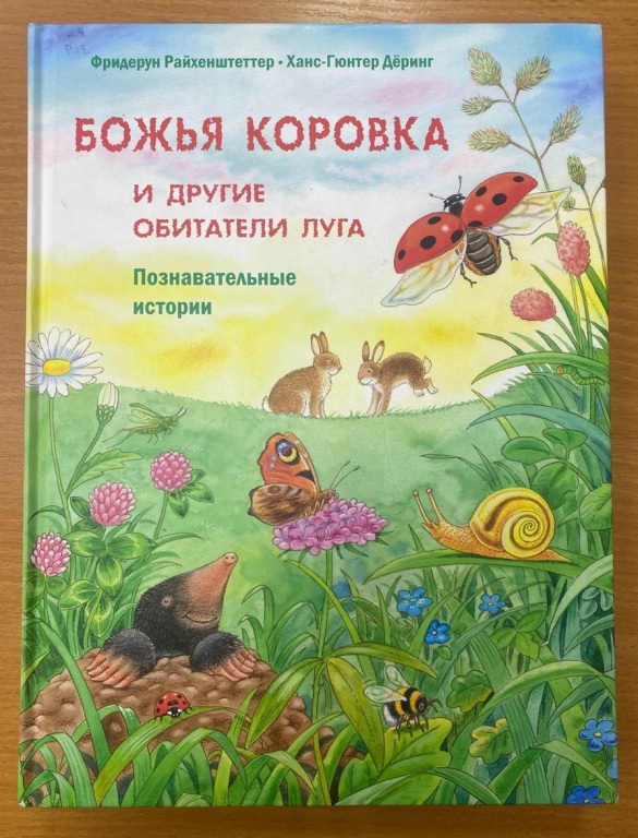 boghya.jpg