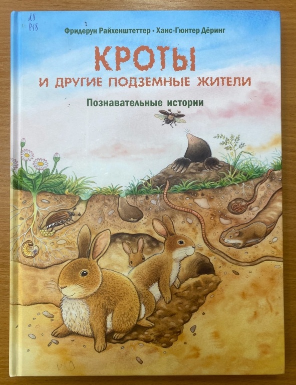 kroty.jpg