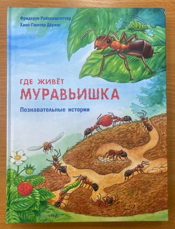muravei.jpg