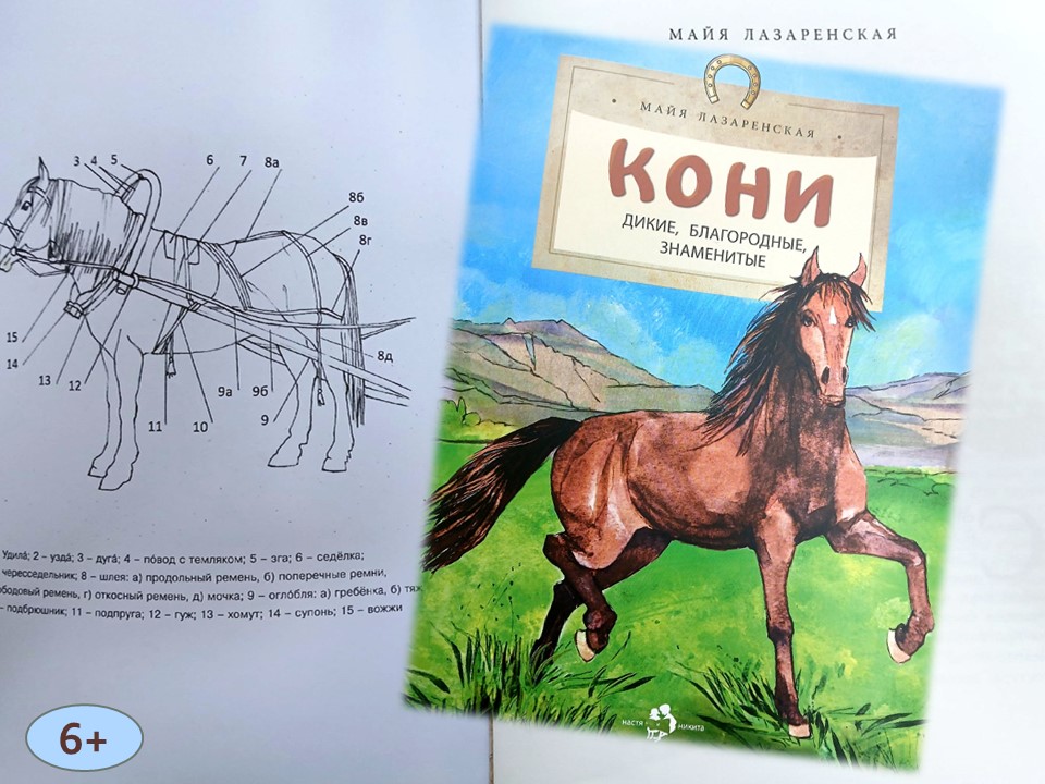 Risunok_1.jpg