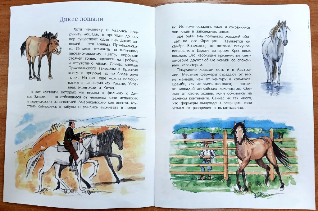 risunok_2.jpg