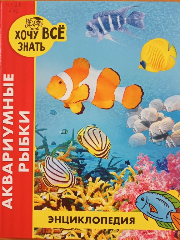 Akvariumnye_rybki.jpg