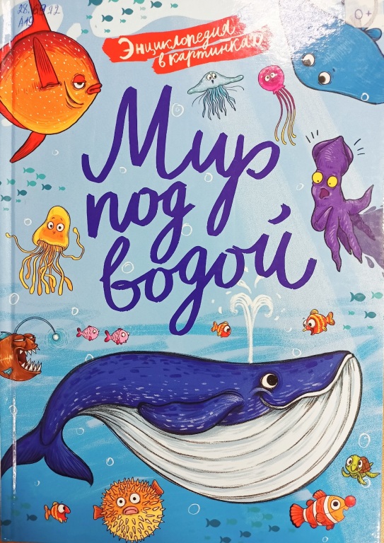 mir_pod_vodoi.jpg mir_pod_vodoi.jpg