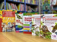 В зале «Филин» читателей ждут книги о пернатых