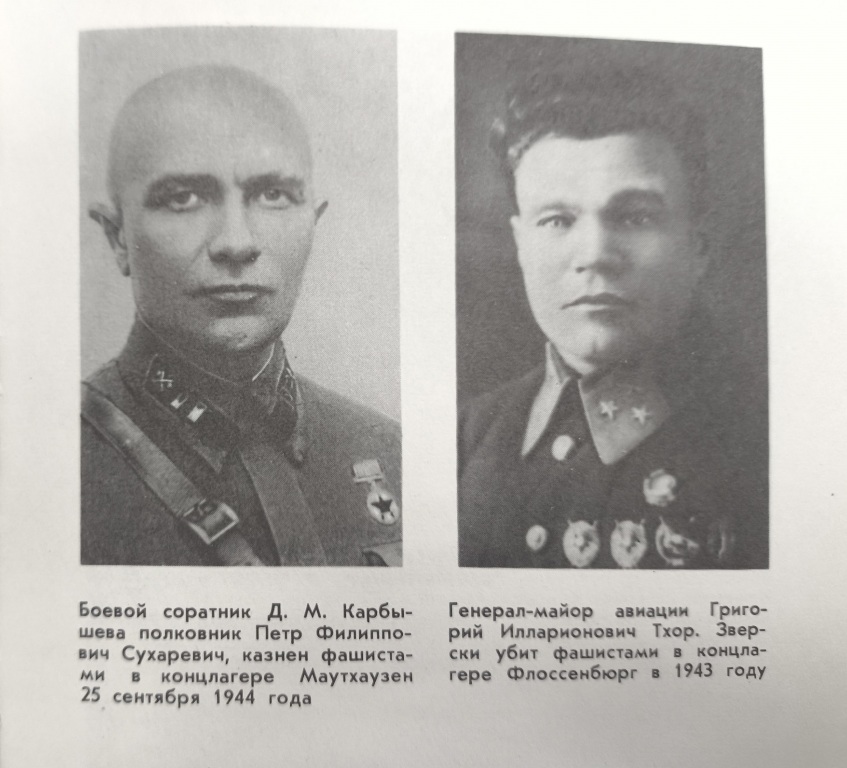 boevoi_soratnik.jpg boevoi_soratnik.jpg