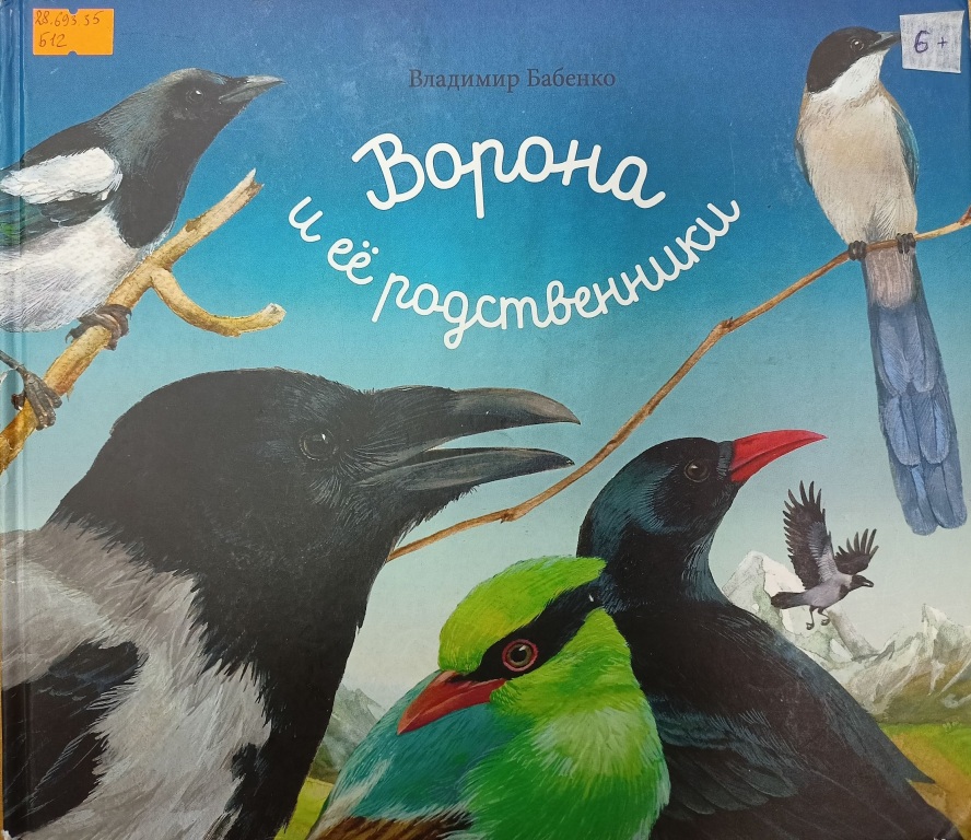 vorona_i_ee_rodstvenniki.jpg