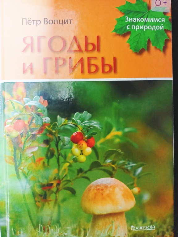 1._i_griby.jpg 1._i_griby.jpg
