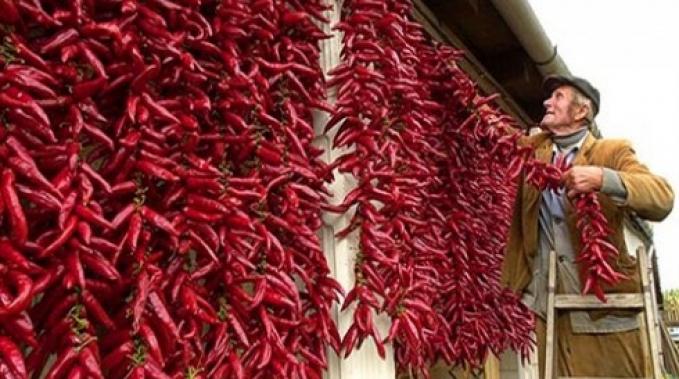 paprika.jpg